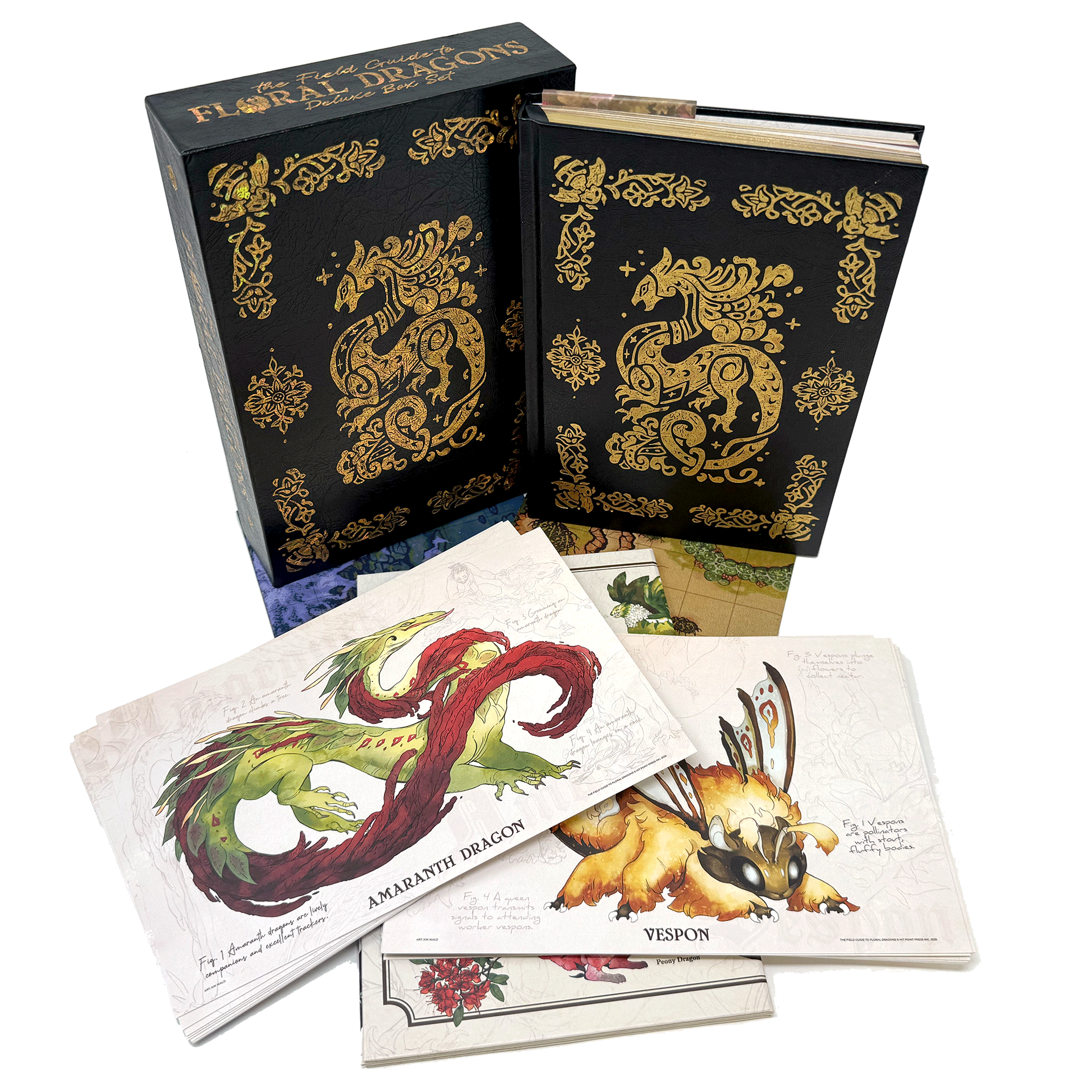 The Field Guide To Floral Dragons: Flower Dragon Bestiary - 5e D&D (Deluxe Box Set)