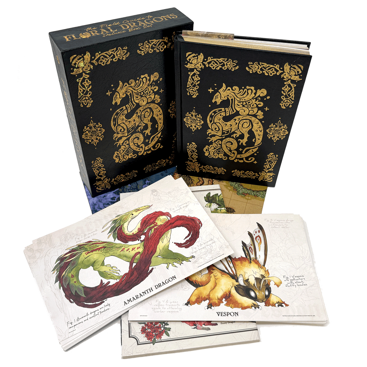 The Field Guide To Floral Dragons: Flower Dragon Bestiary - 5e D&D The Field Guide To Floral Dragons: Flower Dragon Bestiary - 5e D&D